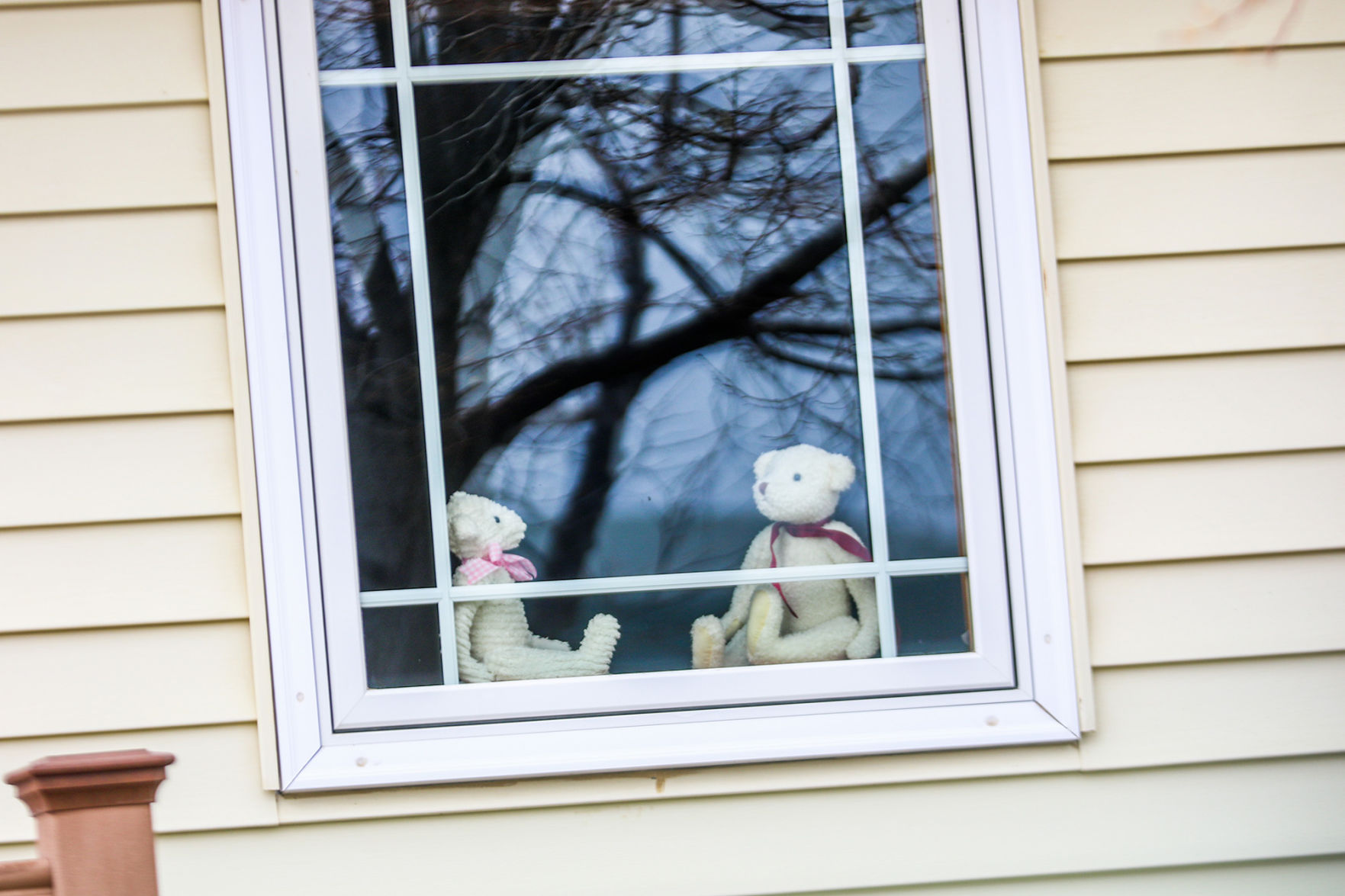 PHOTOS: Bear Hunt